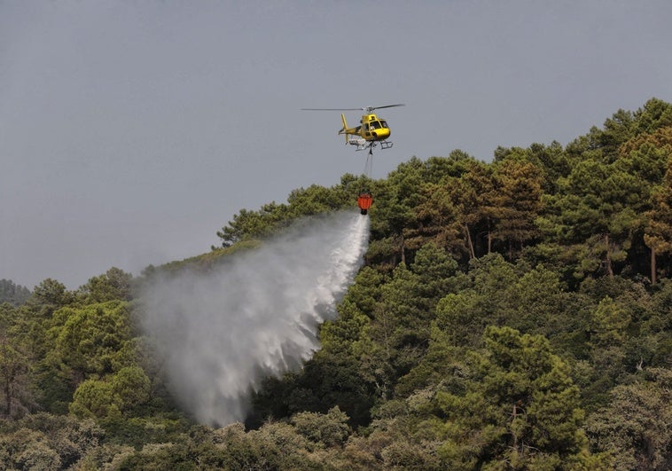 Estabilizado el incendio forestal entre Don Benito y Manchita y desactivado el nivel 1 de peligrosidad